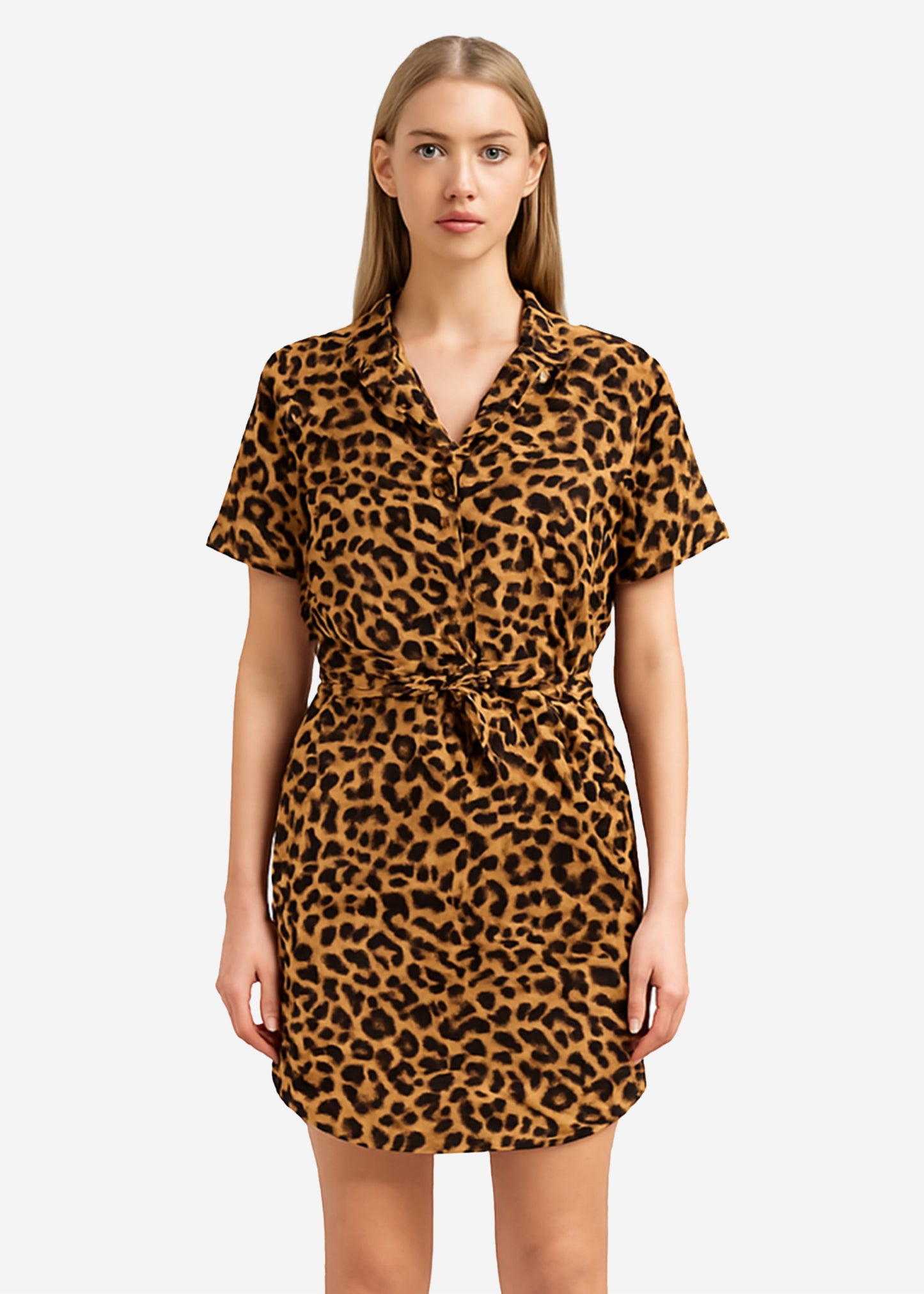Leopard Dress